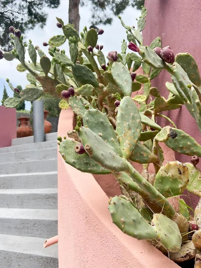 شقة Villa Con Grande Giardino Ad 800 Mt Dal Mare كابيتانا إيطاليا
